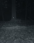 Carson Digital Pocket Night Vision