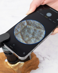 Carson Handmikroskop MM-350 MicroBrite Plus 60-120x mit Smartphone-Adapter