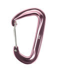 Karabiner Type 4