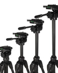 Nest Stativ + Kopf WT-3730 H152 cm