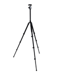 Nest Stativ WF-6627 + Kugelkopf