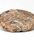 Stealth Gear Schießzelt Square Hide Schilf Plus