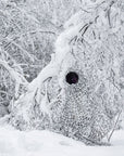 Buteo Photo Gear 3D leafs Camouflage Net Snow 1,5x3 m