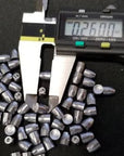 airgun-slugs-nielsen-5.5-mm-hpdb-20.2-grain-_.2175_-_3_.jpg