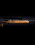 anschutz_1913a_benchrest_br-50_new_6_.jpg