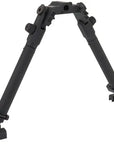 bipod-grs.jpg