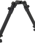 bipod-grs.jpg