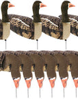 decoy-sillosocks-grey-lag-goose-harvester-pack-_1__1.jpg