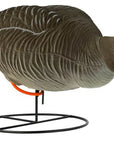 decoy_greylag_goose_flocked_foraging_6-pack_2.jpg