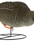 decoy_greylag_goose_flocked_foraging_6-pack_2.jpg
