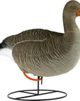 decoy_greylag_goose_flocked_resting_6-pack_2.jpg
