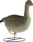 decoy_greylag_goose_flocked_standing_6-pack_2.jpg