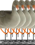 decoy_white-fronted_goose_flocked_resting_6-pack_1.jpg