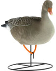decoy_white-fronted_goose_flocked_resting_6-pack_2.jpg