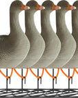 decoy_white-fronted_goose_flocked_standing_6-pack_1.jpg