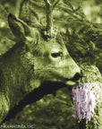 frankonia_p119873_d3.jpg