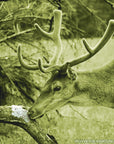 frankonia_p124708_d2.jpg
