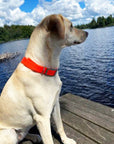 frankonia_p2015244_d11.jpg
