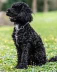 frankonia_p2021875_d6.jpg