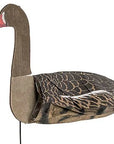 ganzenlokker-sillosocks-grauwe-gans-statig-6-pack-_3_.jpg