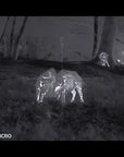 hikmicro_neos_nh25l_thermal_imaging_rifle_scope_10_.jpg