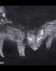 hikmicro_neos_nh35l_thermal_imaging_rifle_scope_22_.jpg