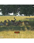 multispectral_binoculars_hikmicro_habrok_pro_hq50l_850_nm_12__1.jpg