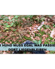 3DioPRkUTEgt7qvW2foEt6.jpeg&width=1200&height=1200&effects=pad(CC,ffff)&quality=40