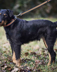 p2003633_d6_v1.jpg&width=1200&height=1200&effects=pad(CC,ffff)&quality=40