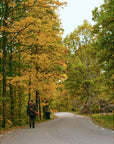 p216668_d26.jpg&width=1200&height=1200&effects=pad(CC,ffff)&quality=40