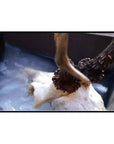 1ZUnr95_rzi91yVQbHJFi6.jpeg&width=1200&height=1200&effects=pad(CC,ffff)&quality=40