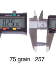 slugs_nielsen_6.5_mm_hpfb_75_grain_.257_2_.jpg