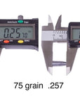 slugs_nielsen_6.5_mm_hpfb_75_grain_.257_2_.jpg