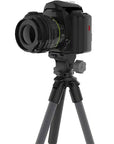 tripod_bog_bantam_12_.jpg
