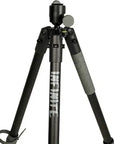 tripod_bog_infinite_arca_swiss_2.jpg