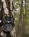 wildlife_camera_hikmicro_t16_13_.jpg