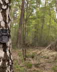 wildlife_camera_hikmicro_t16_14_.jpg