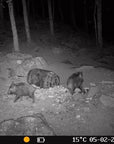 wildlife_camera_hikmicro_t16_15_.jpg