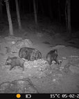 wildlife_camera_hikmicro_t16_15__1.jpg
