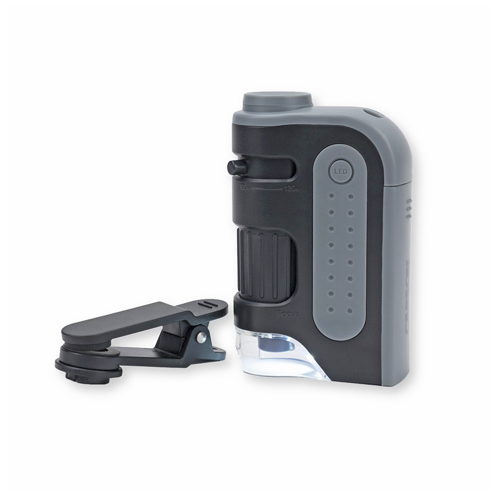 Carson Handmikroskop MM-350 MicroBrite Plus 60-120x mit Smartphone-Adapter