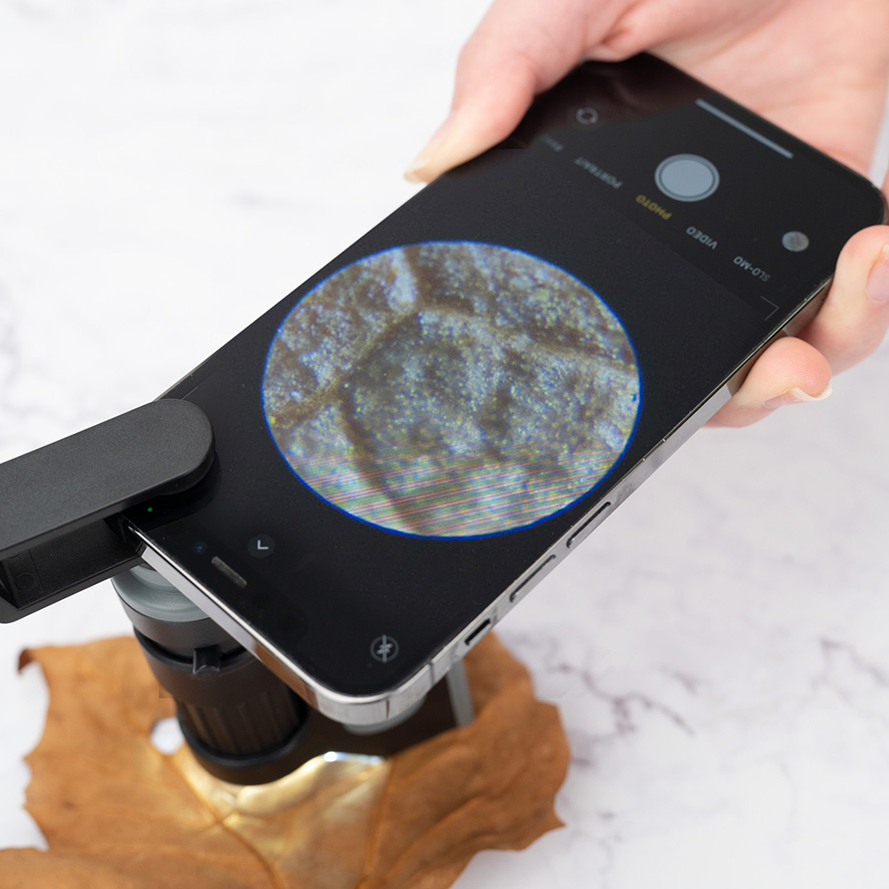 Carson Handmikroskop MM-350 MicroBrite Plus 60-120x mit Smartphone-Adapter