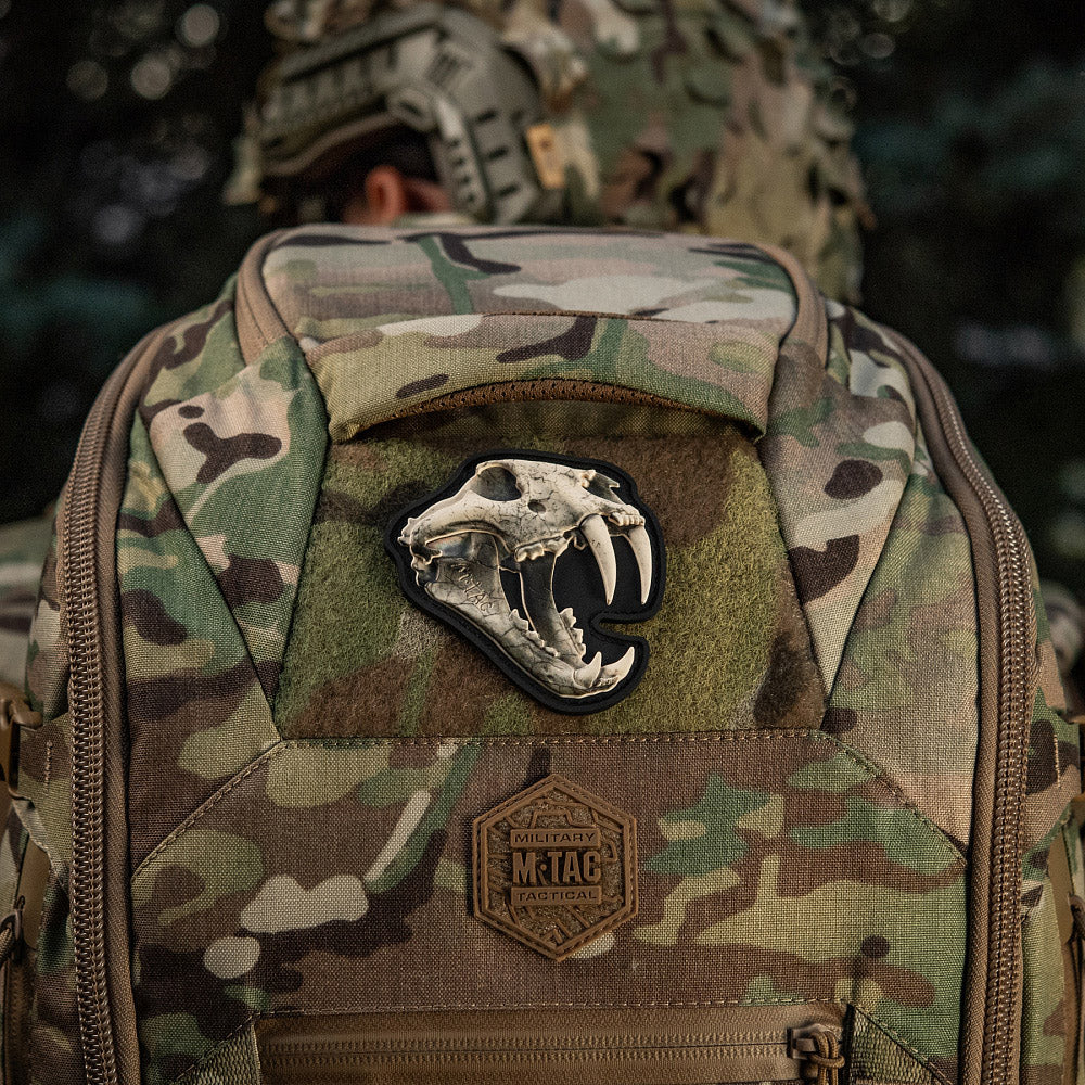 Patch Old Tiger