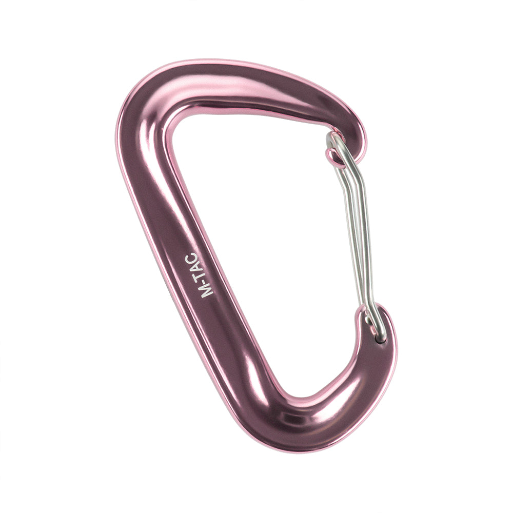 Karabiner Type 4