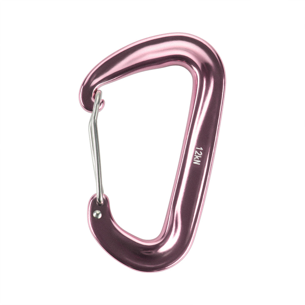 Karabiner Type 4