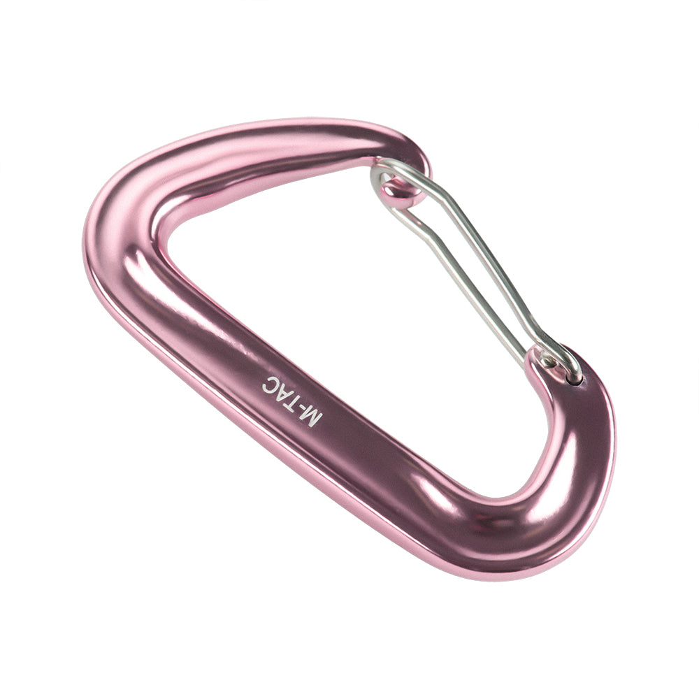 Karabiner Type 4
