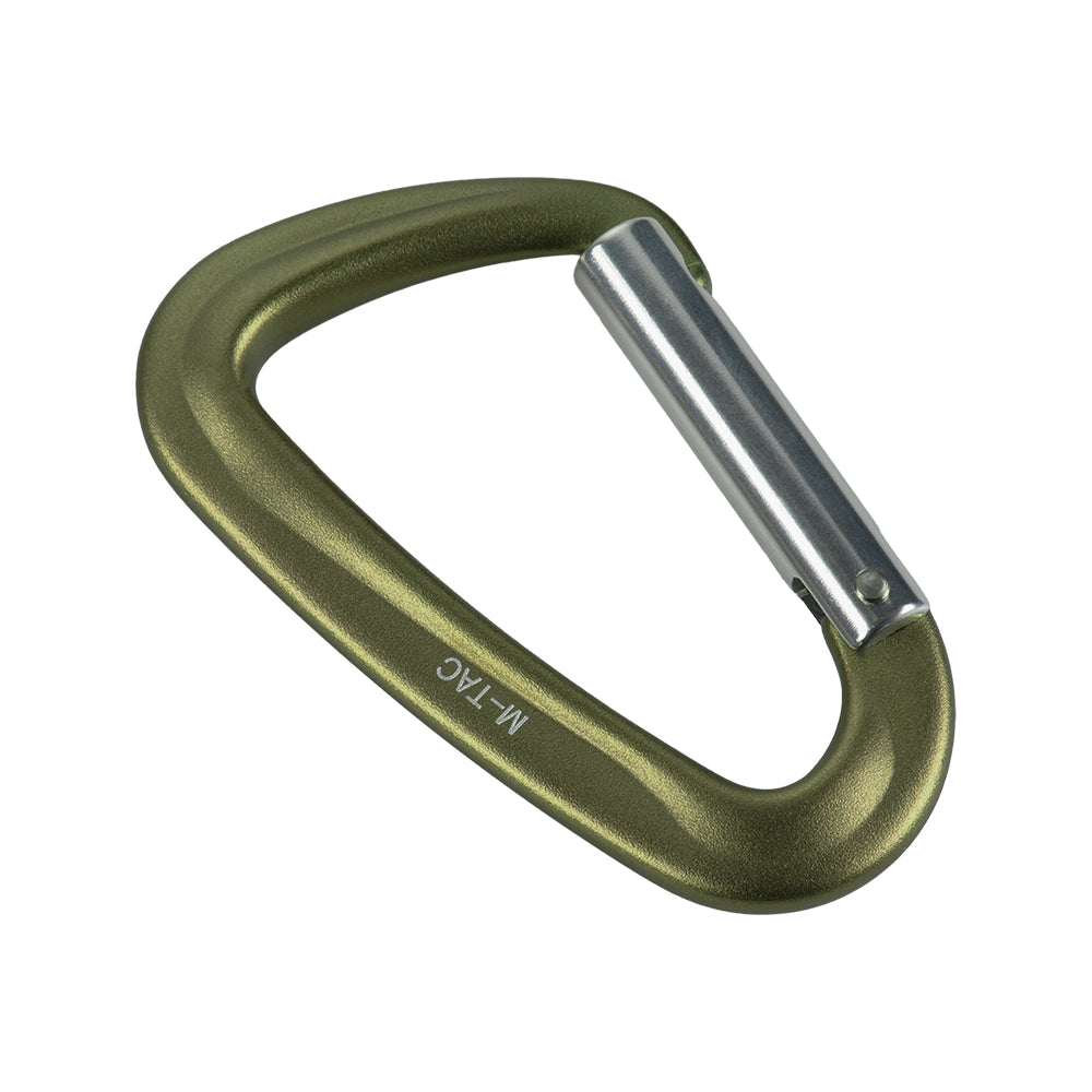 Karabiner Type 1