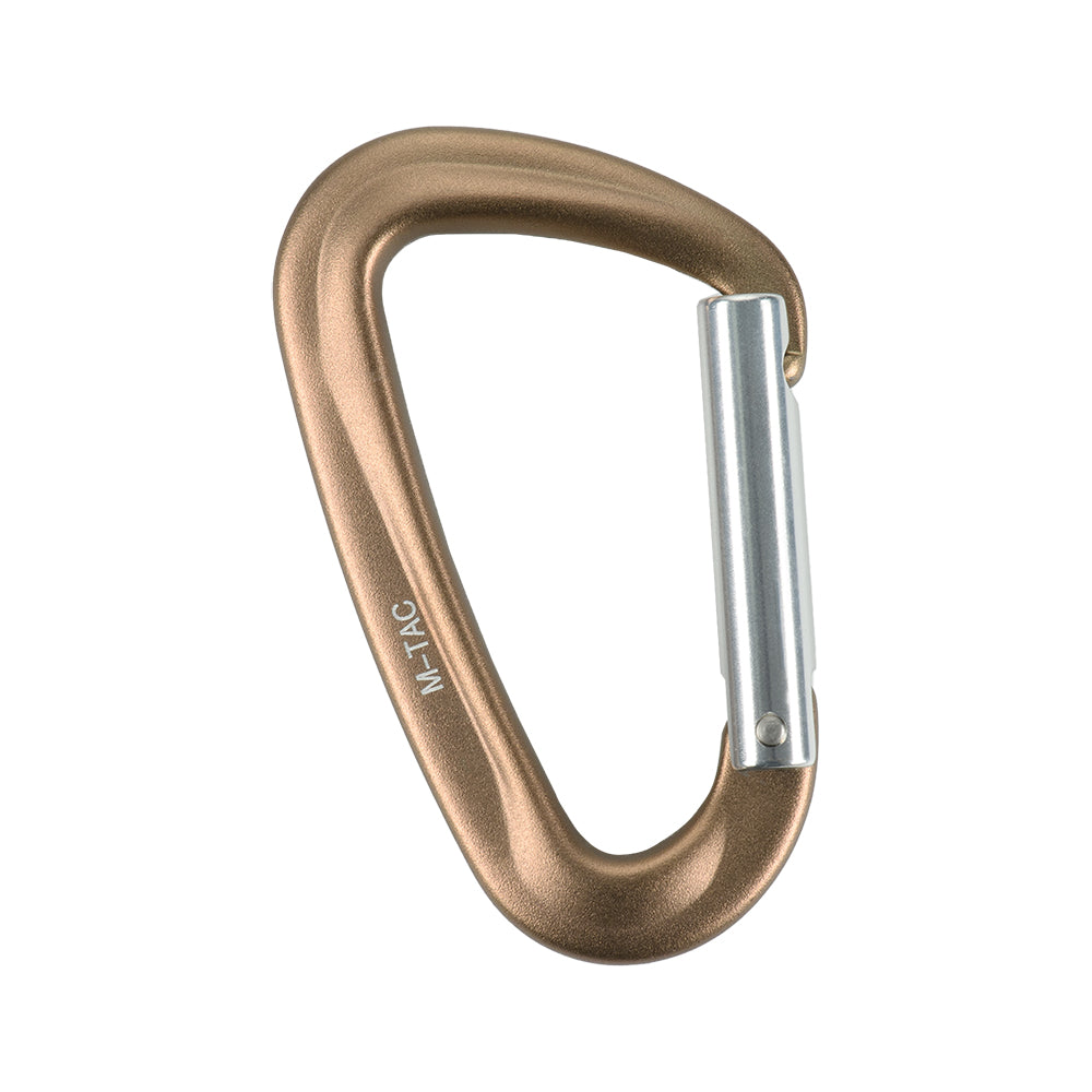 Karabiner Type 1