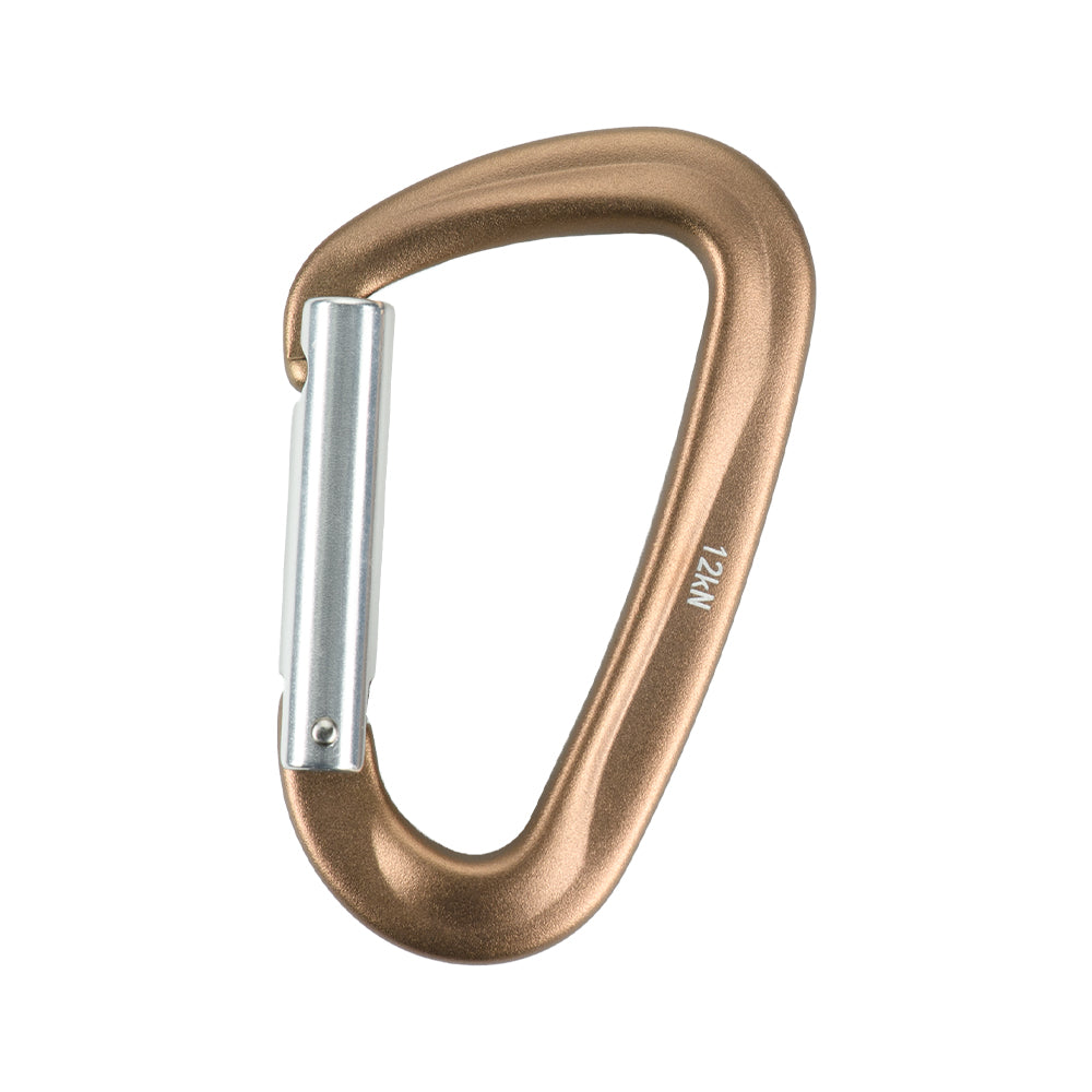 Karabiner Type 1