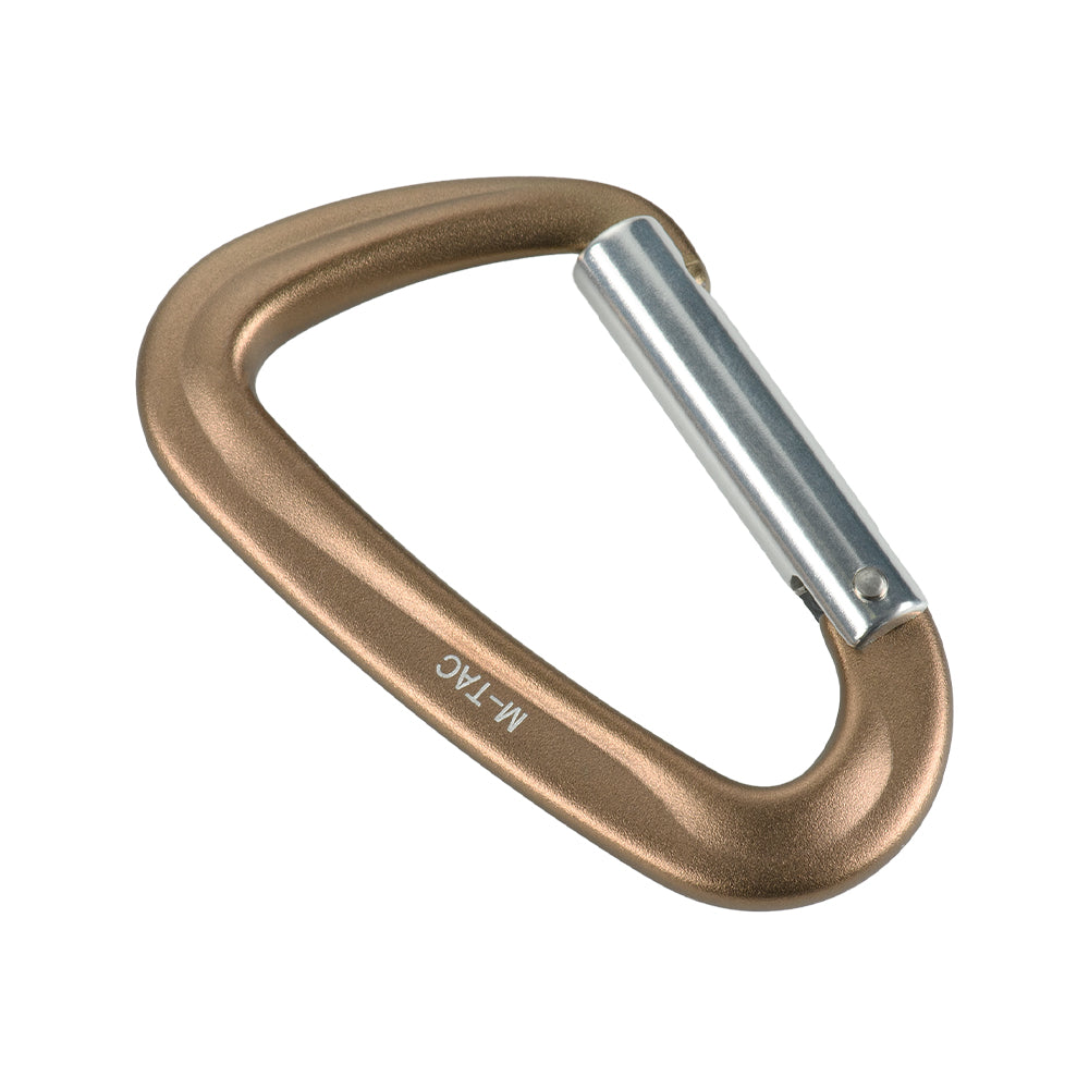 Karabiner Type 1
