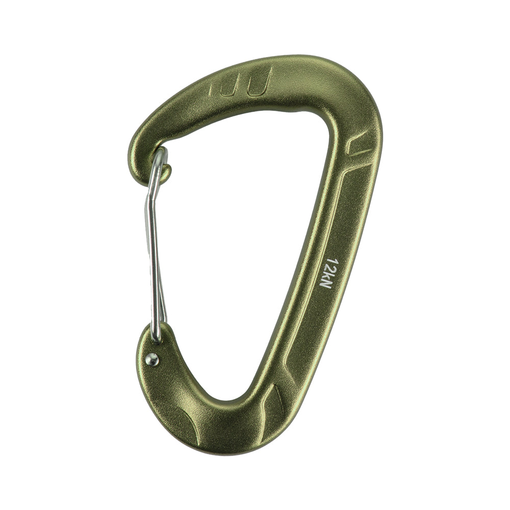 Karabiner Type 2